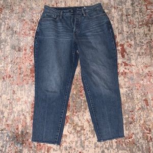 High Rise Curvy OG Straight Secret Smooth Pockets PETITE